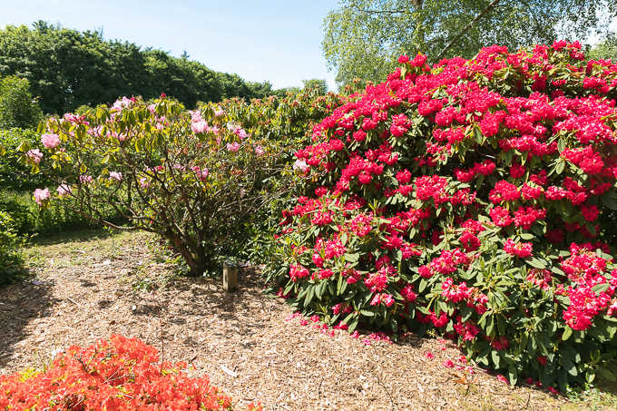 Kennedy Park Jun 2018 (019)